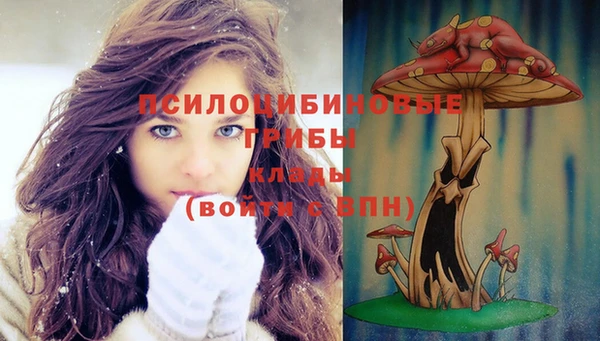 прущие грибы Алексин