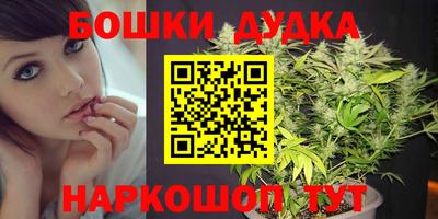 гидра Ливны